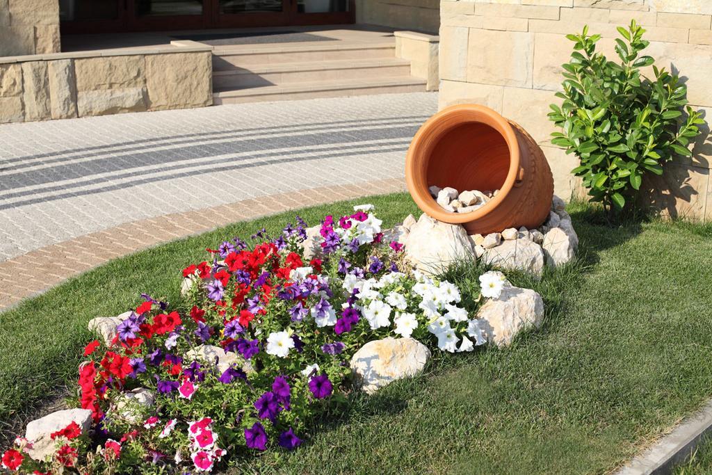Hotel Danubia Park Veliko Gradište Exterior foto